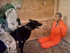 US torture at Abu Ghraib